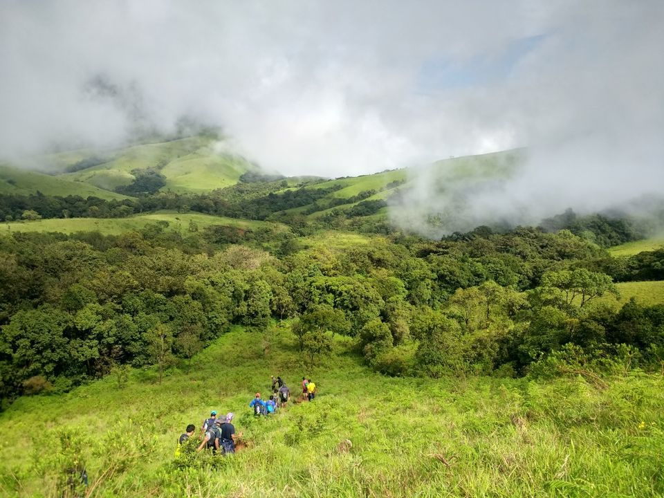 Photo of The Green Carpet that I Treaded on: My Trek to Kudremukha & Bavikonda Peaks by Hrishikesh Baruah