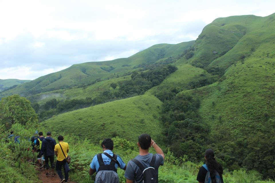 Photo of The Green Carpet that I Treaded on: My Trek to Kudremukha & Bavikonda Peaks 21/46 by Hrishikesh Baruah