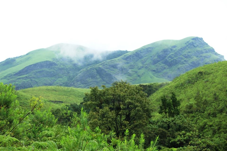 Photo of The Green Carpet that I Treaded on: My Trek to Kudremukha & Bavikonda Peaks 24/46 by Hrishikesh Baruah