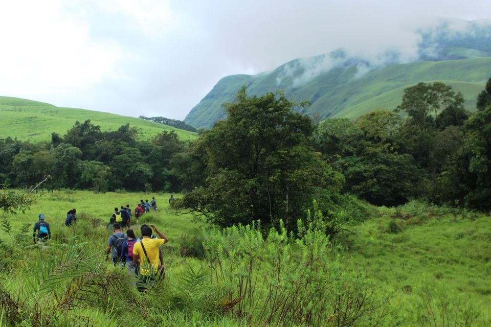 Photo of The Green Carpet that I Treaded on: My Trek to Kudremukha & Bavikonda Peaks 26/46 by Hrishikesh Baruah