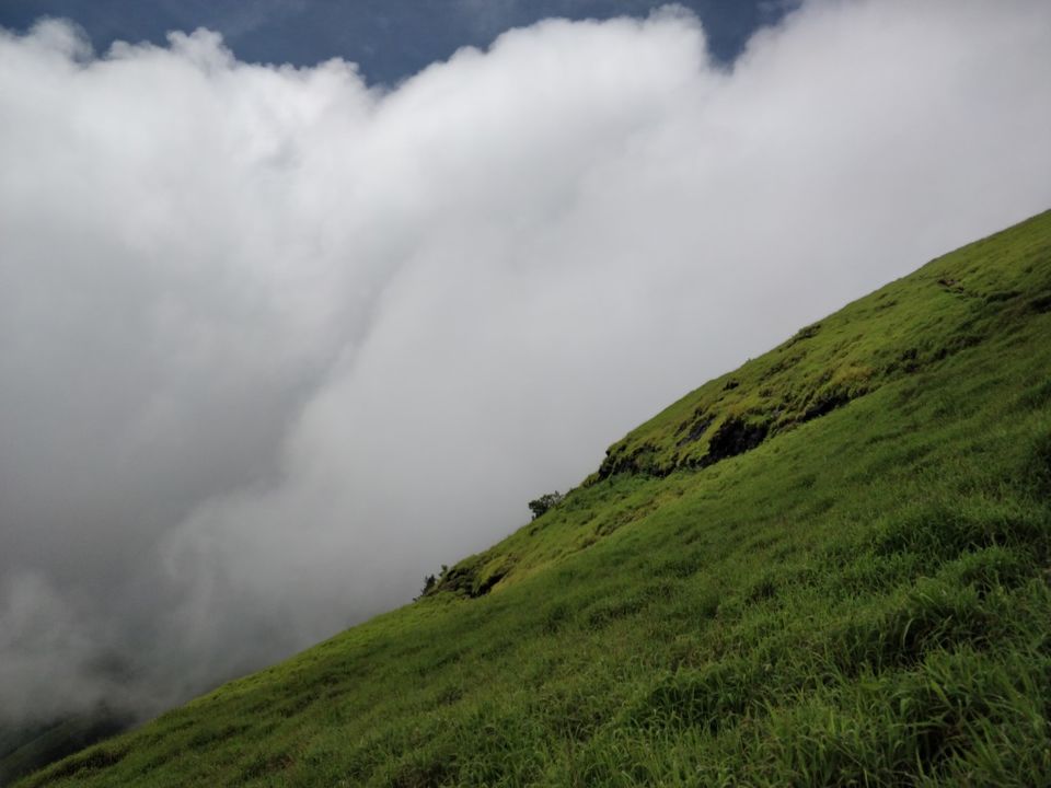 Photo of The Green Carpet that I Treaded on: My Trek to Kudremukha & Bavikonda Peaks 33/46 by Hrishikesh Baruah