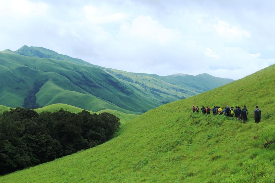 Photo of The Green Carpet that I Treaded on: My Trek to Kudremukha & Bavikonda Peaks 39/46 by Hrishikesh Baruah