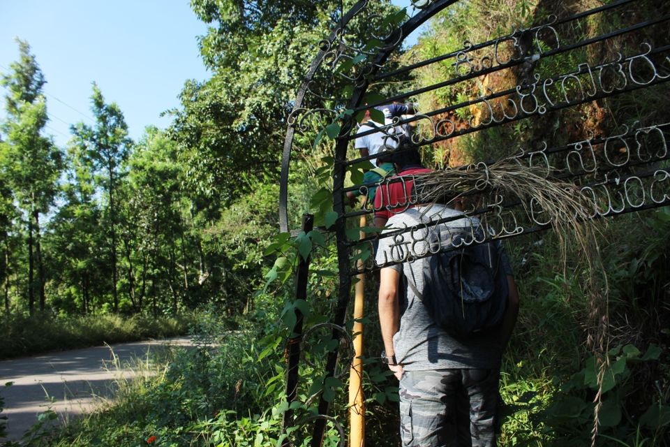 Photo of To the Highest Peak in Karnataka: My Hike to Mullayanagiri 2/24 by Hrishikesh Baruah