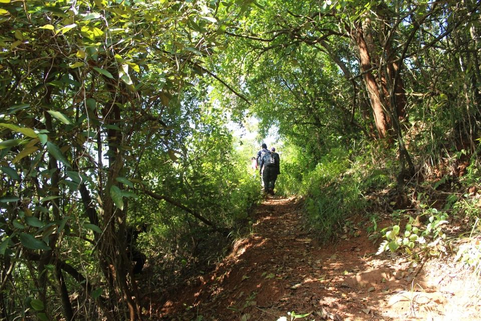 Photo of To the Highest Peak in Karnataka: My Hike to Mullayanagiri 3/24 by Hrishikesh Baruah
