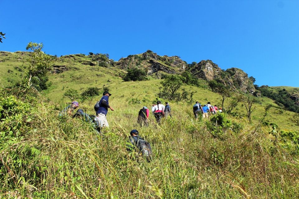Photo of To the Highest Peak in Karnataka: My Hike to Mullayanagiri 4/24 by Hrishikesh Baruah