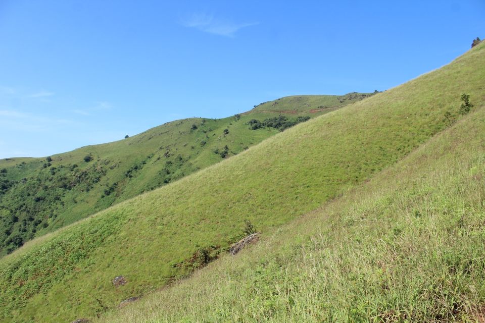 Photo of To the Highest Peak in Karnataka: My Hike to Mullayanagiri 7/24 by Hrishikesh Baruah