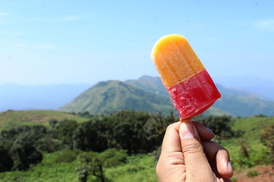 Photo of To the Highest Peak in Karnataka: My Hike to Mullayanagiri 23/24 by Hrishikesh Baruah