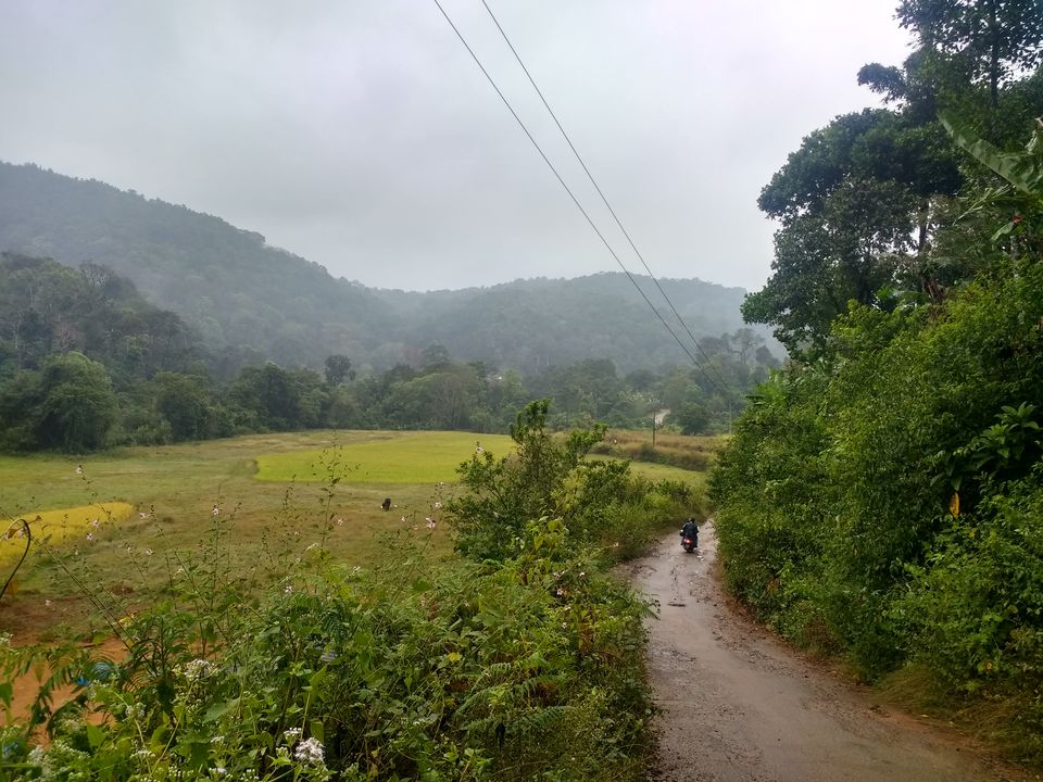Photo of Cutting Through the Corners: My Cycling Ride from Madikeri to Mandalpatti Hills by Hrishikesh Baruah