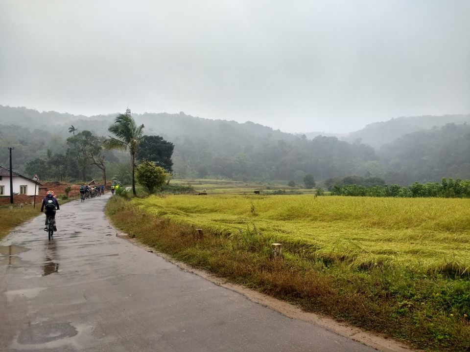 Photo of Cutting Through the Corners: My Cycling Ride from Madikeri to Mandalpatti Hills by Hrishikesh Baruah