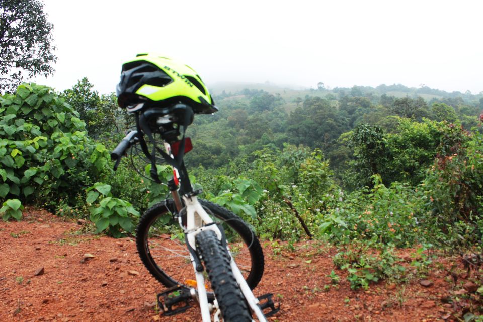Photo of Cutting Through the Corners: My Cycling Ride from Madikeri to Mandalpatti Hills by Hrishikesh Baruah