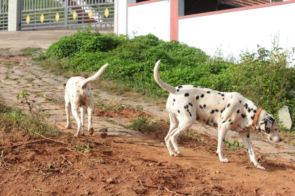 Photo of Madikeri, Karnataka, India by Hrishikesh Baruah