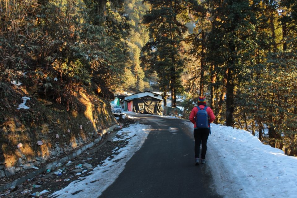 Photo of Standing in the Middle of a Himalayan Amphitheater: My Trek to Tungnath-Chandrashila 2/2 by Hrishikesh Baruah