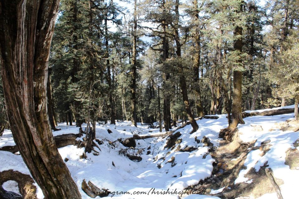 Photo of A Snowy Affair: My Winter Trek to Kedarkantha by Hrishikesh Baruah