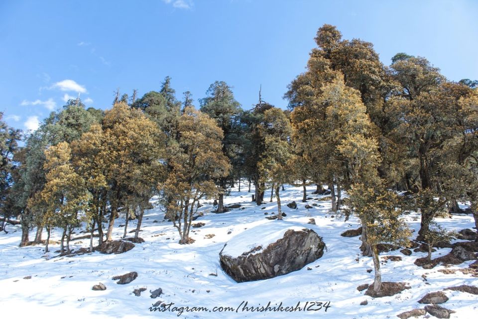 Photo of A Snowy Affair: My Winter Trek to Kedarkantha by Hrishikesh Baruah