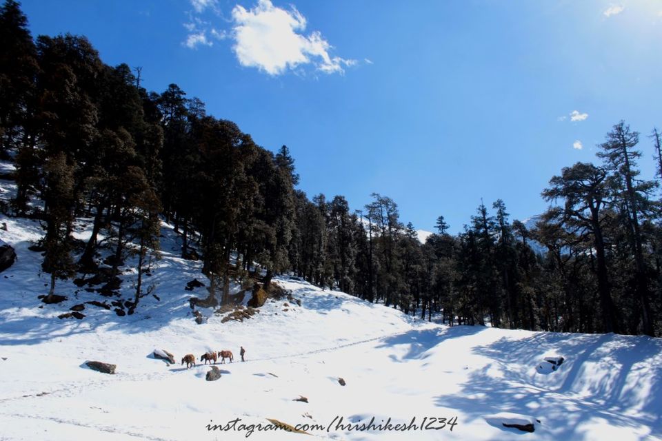 Photo of A Snowy Affair: My Winter Trek to Kedarkantha by Hrishikesh Baruah