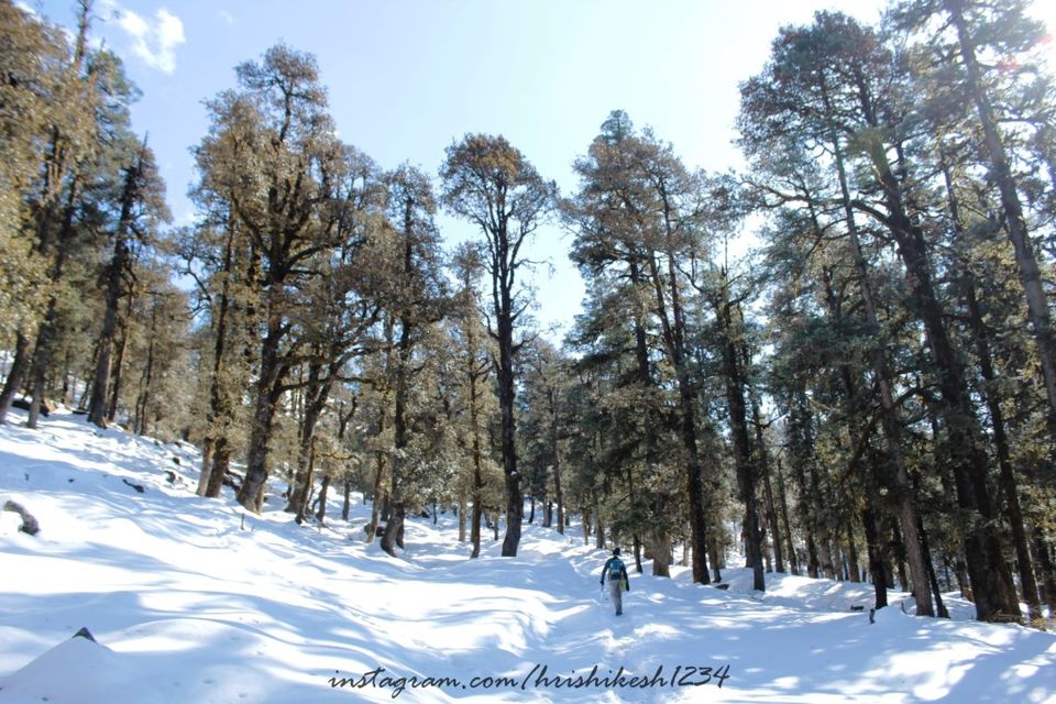 Photo of A Snowy Affair: My Winter Trek to Kedarkantha by Hrishikesh Baruah