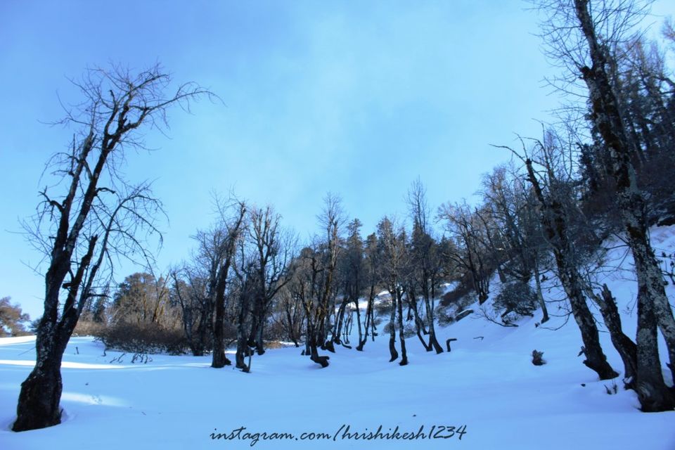 Photo of A Snowy Affair: My Winter Trek to Kedarkantha by Hrishikesh Baruah