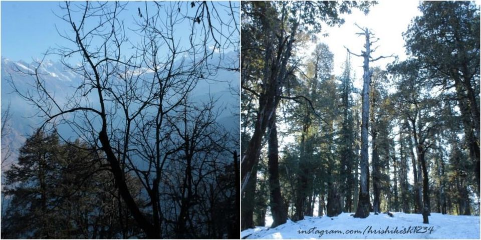Photo of A Snowy Affair: My Winter Trek to Kedarkantha by Hrishikesh Baruah