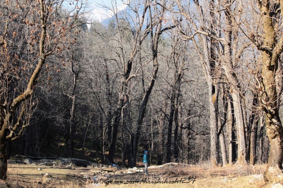 Photo of A Snowy Affair: My Winter Trek to Kedarkantha by Hrishikesh Baruah