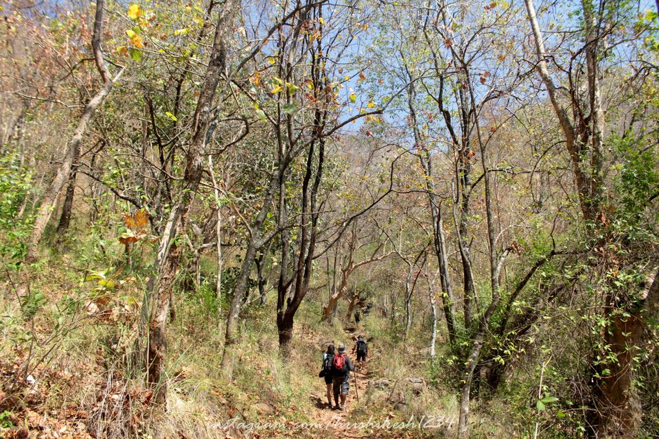Photo of Off the Beaten Trail: My Trek to Canopy Hills in Vattakanal by Hrishikesh Baruah