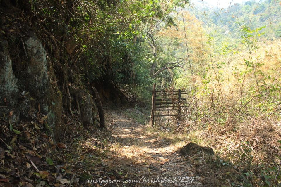 Photo of Off the Beaten Trail: My Trek to Canopy Hills in Vattakanal by Hrishikesh Baruah