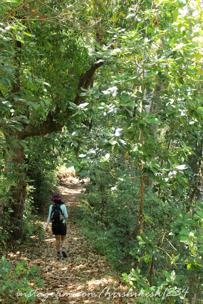 Photo of Off the Beaten Trail: My Trek to Canopy Hills in Vattakanal by Hrishikesh Baruah