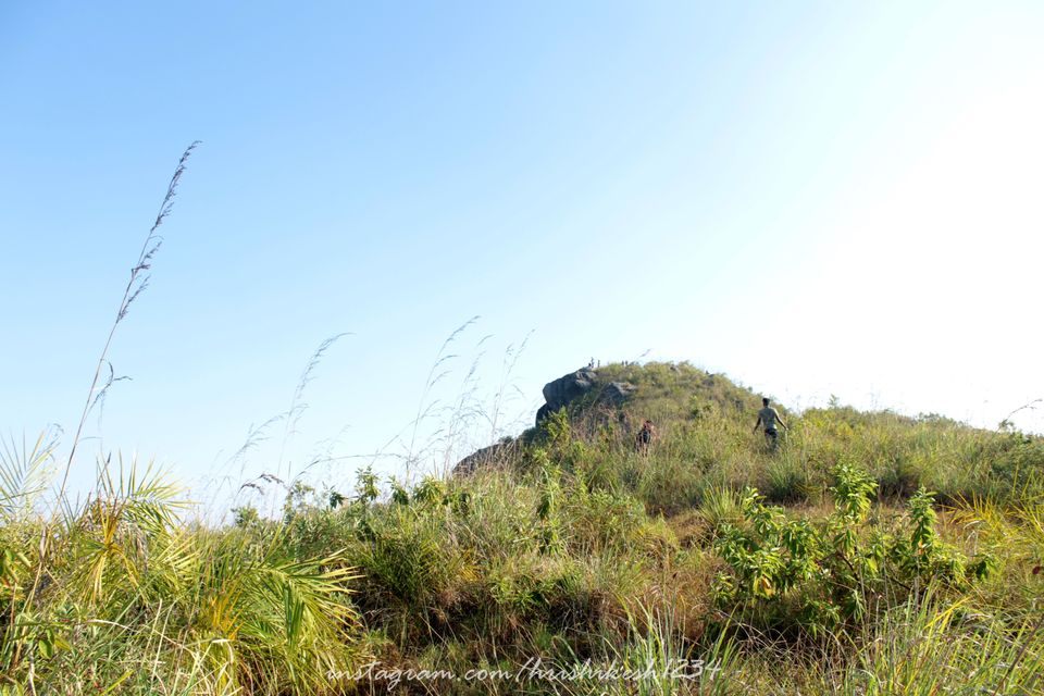 Photo of Off the Beaten Trail: My Trek to Canopy Hills in Vattakanal by Hrishikesh Baruah