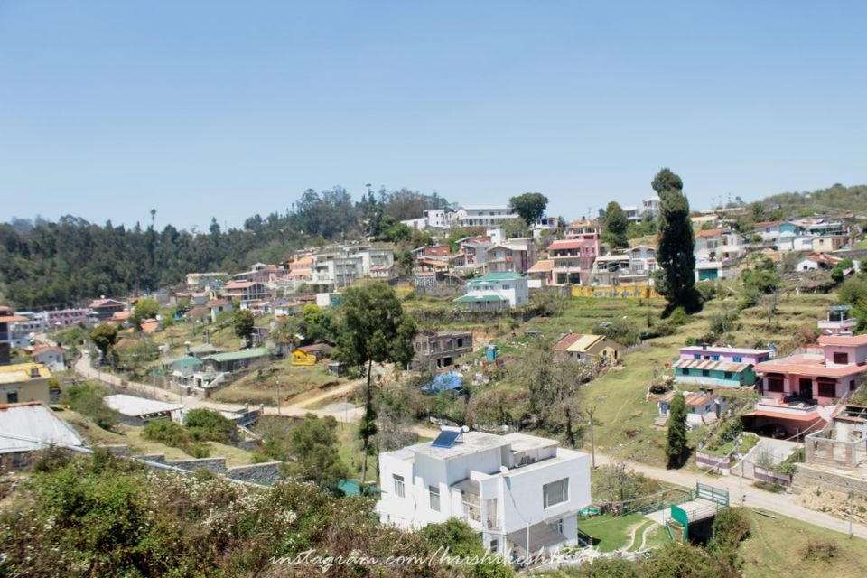 Photo of Off the Beaten Trail: My Trek to Canopy Hills in Vattakanal by Hrishikesh Baruah