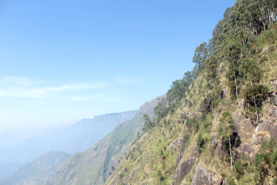 Photo of Off the Beaten Trail: My Trek to Canopy Hills in Vattakanal by Hrishikesh Baruah
