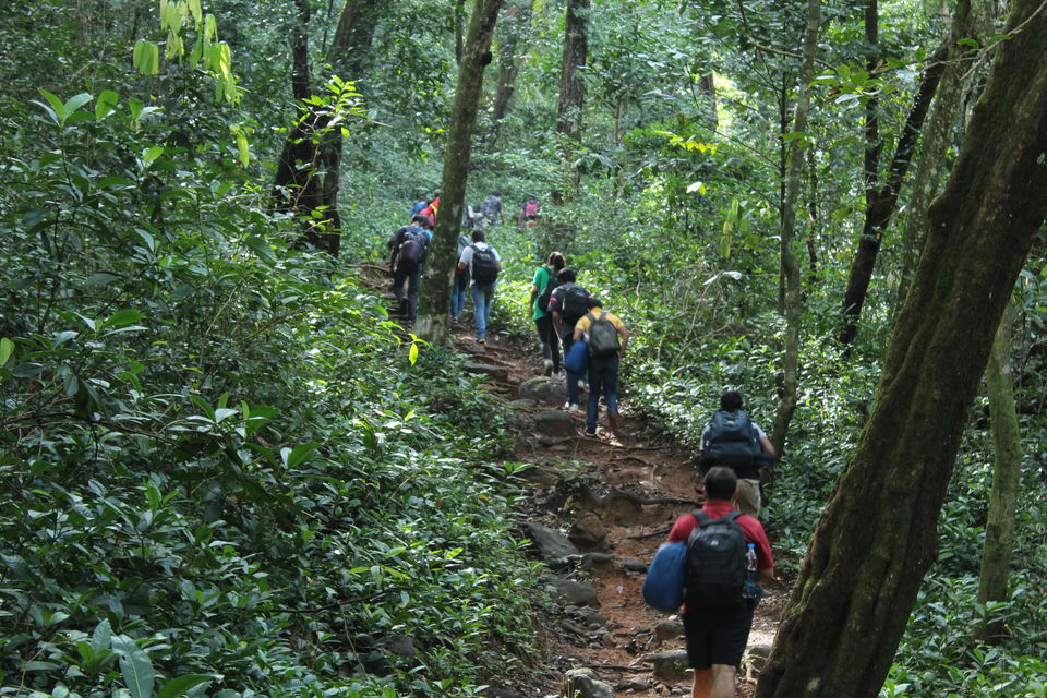 Photo of Trek to Kumara Parvatha: A Walk in the Clouds by Hrishikesh Baruah