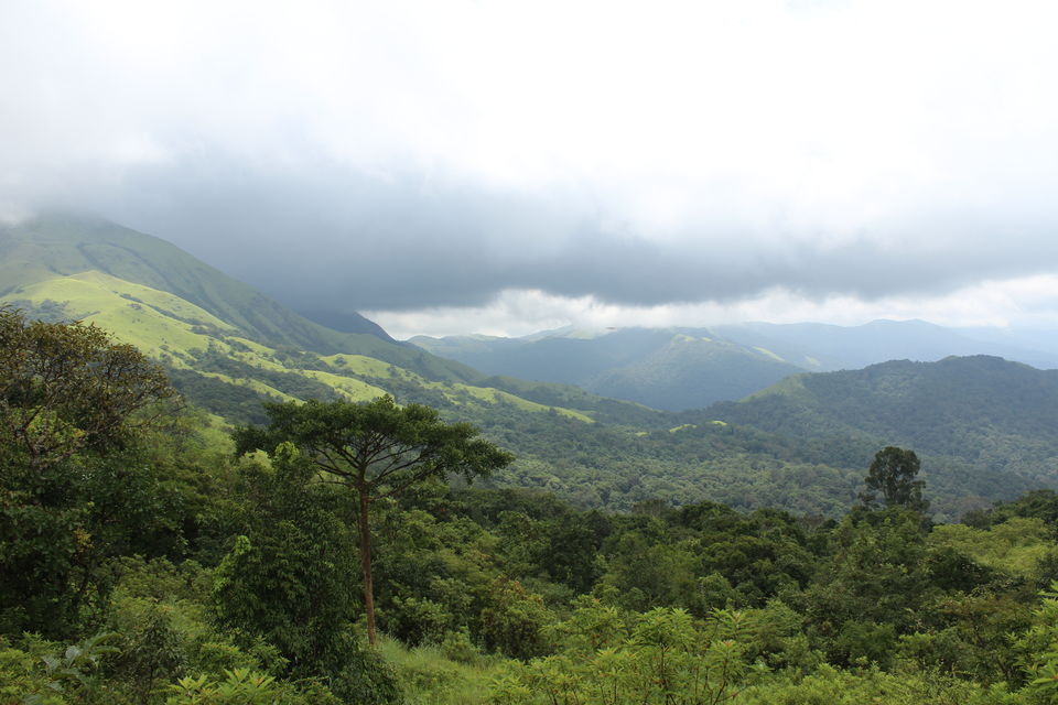 Photo of Trek to Kumara Parvatha: A Walk in the Clouds by Hrishikesh Baruah