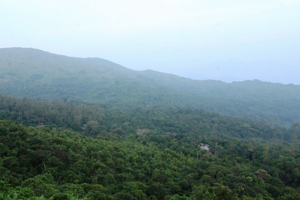 Photo of One Day Trek to Tadiandamol with Bangalore Trekking Club by Hrishikesh Baruah