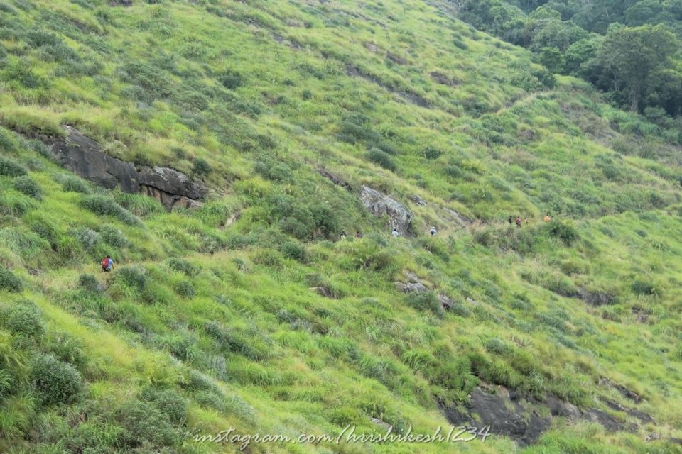 Photo of When the Trail Gets Tough: My Trek to Kolukkumalai and Meesapulimala by Hrishikesh Baruah
