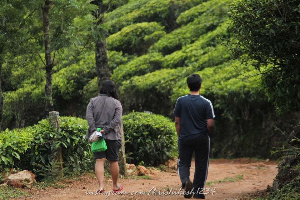 Photo of When the Trail Gets Tough: My Trek to Kolukkumalai and Meesapulimala by Hrishikesh Baruah