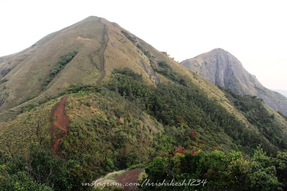 Photo of When the Trail Gets Tough: My Trek to Kolukkumalai and Meesapulimala by Hrishikesh Baruah