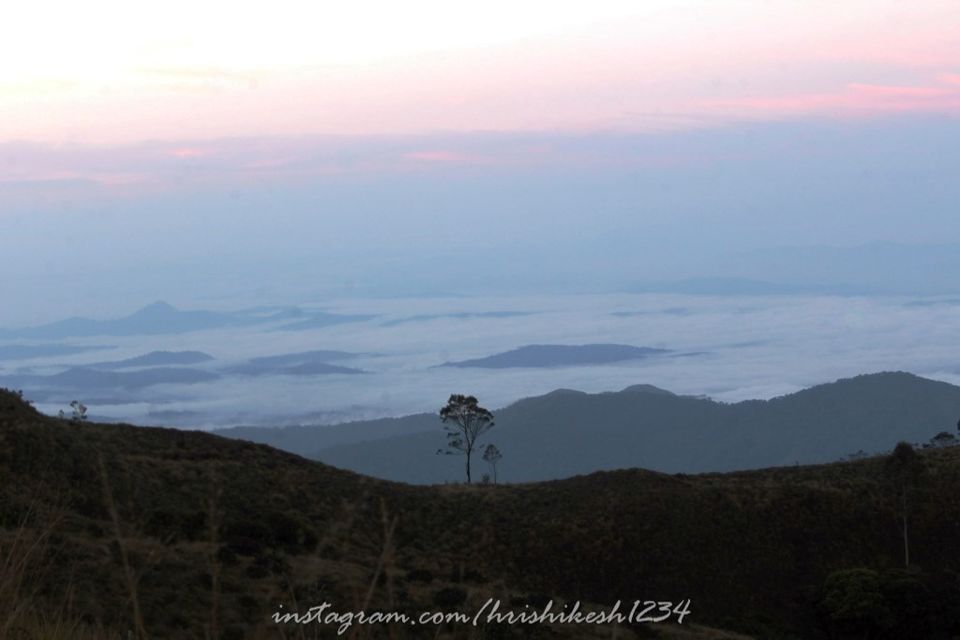 Photo of When the Trail Gets Tough: My Trek to Kolukkumalai and Meesapulimala by Hrishikesh Baruah