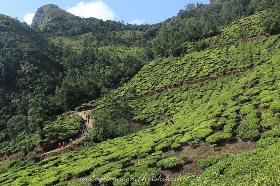 Photo of When the Trail Gets Tough: My Trek to Kolukkumalai and Meesapulimala by Hrishikesh Baruah