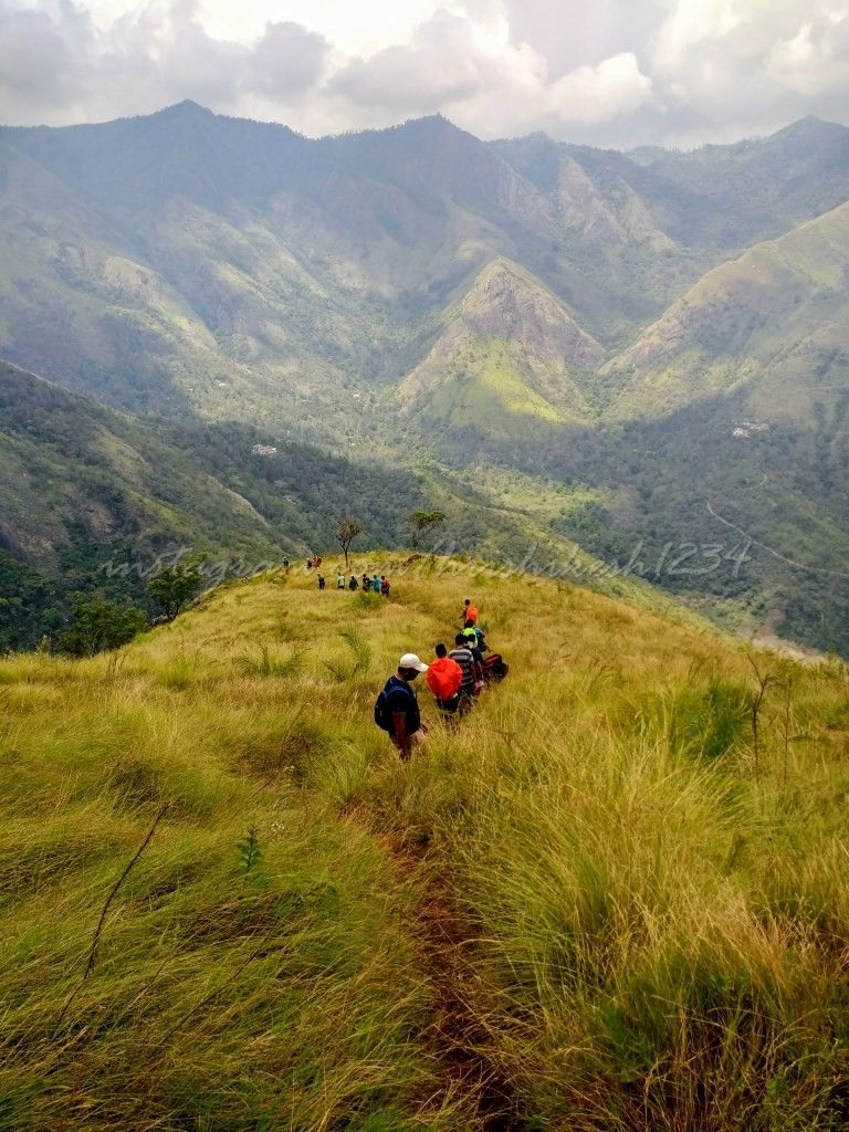 Photo of When the Trail Gets Tough: My Trek to Kolukkumalai and Meesapulimala by Hrishikesh Baruah