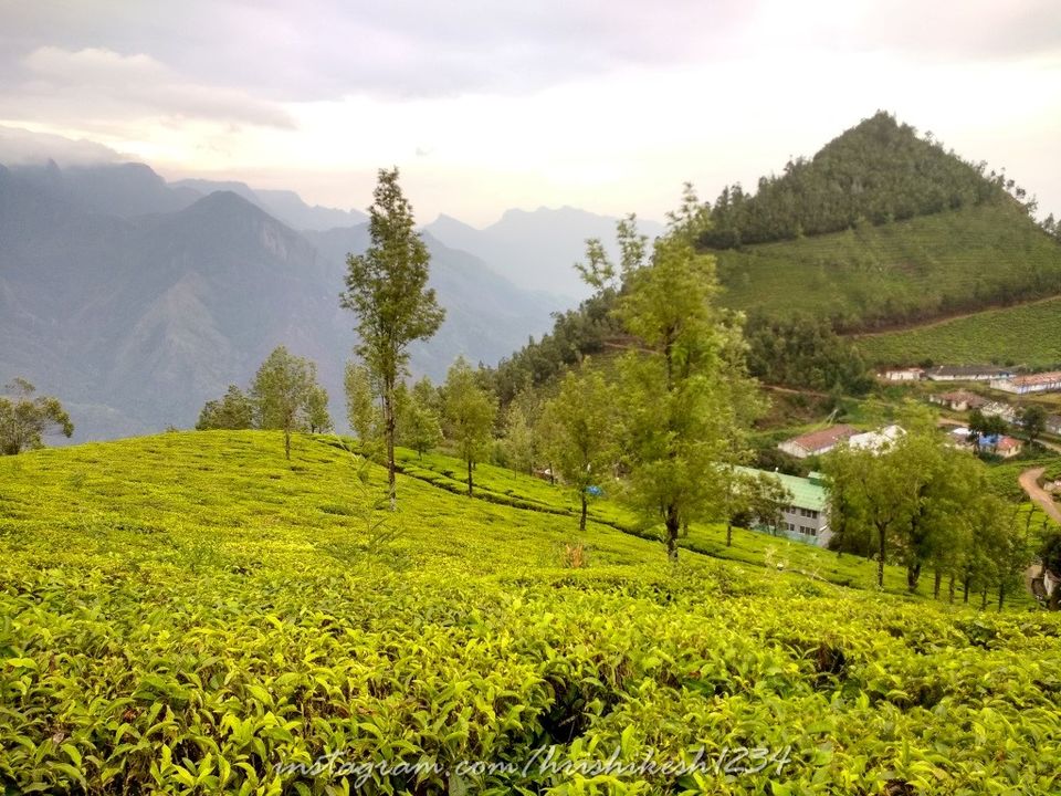 Photo of When the Trail Gets Tough: My Trek to Kolukkumalai and Meesapulimala by Hrishikesh Baruah