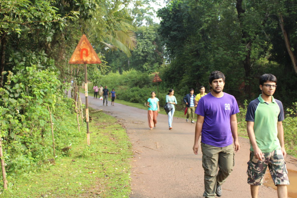 Photo of A Surreal Experience, Trek to Sagara-Jog Falls by Hrishikesh Baruah
