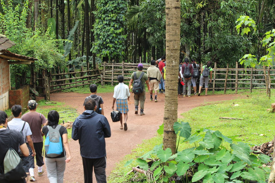 Photo of A Surreal Experience, Trek to Sagara-Jog Falls by Hrishikesh Baruah