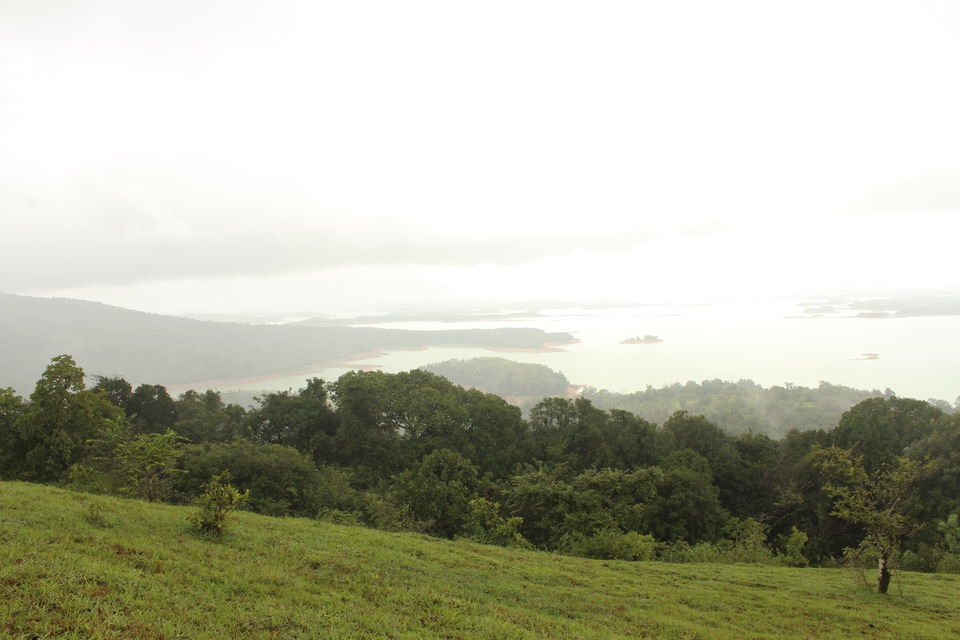 Photo of A Surreal Experience, Trek to Sagara-Jog Falls by Hrishikesh Baruah