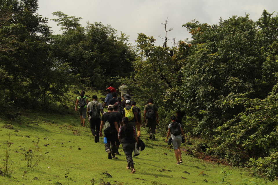 Photo of A Surreal Experience, Trek to Sagara-Jog Falls by Hrishikesh Baruah