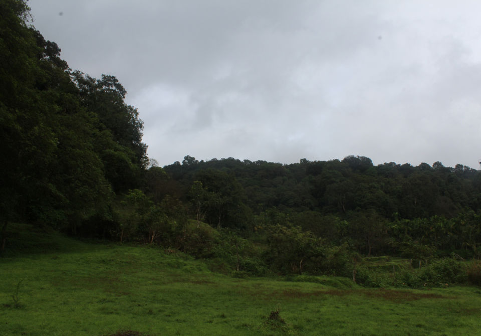 Photo of A Surreal Experience, Trek to Sagara-Jog Falls by Hrishikesh Baruah
