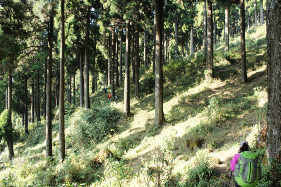 Photo of Waking up the Sleeping Buddha: My Winter Trek to Sandakphu-Phalut by Hrishikesh Baruah