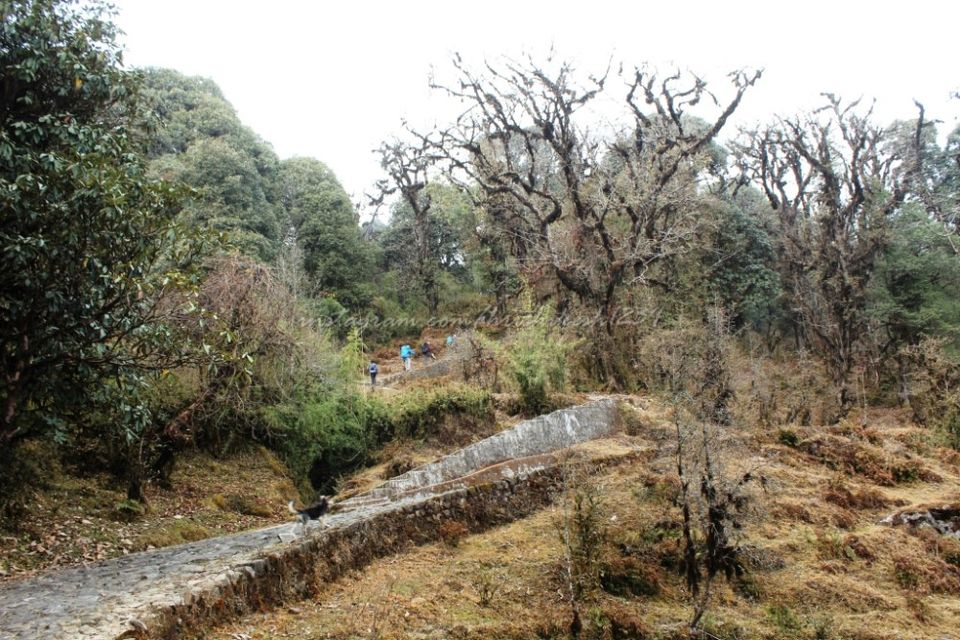 Photo of Waking up the Sleeping Buddha: My Winter Trek to Sandakphu-Phalut by Hrishikesh Baruah