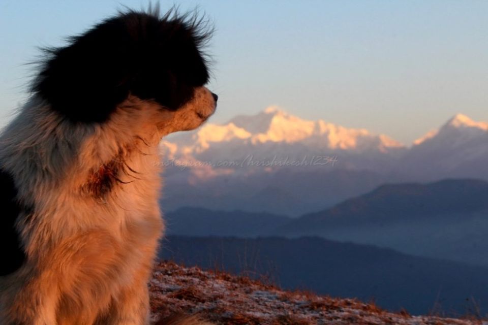 Photo of Tumling, Nepal by Hrishikesh Baruah