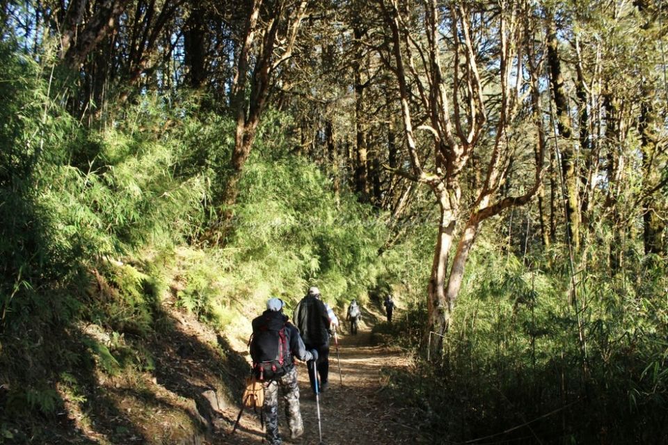 Photo of Waking up the Sleeping Buddha: My Winter Trek to Sandakphu-Phalut by Hrishikesh Baruah