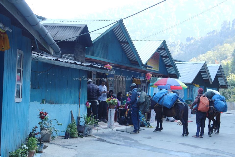 Photo of Waking up the Sleeping Buddha: My Winter Trek to Sandakphu-Phalut by Hrishikesh Baruah