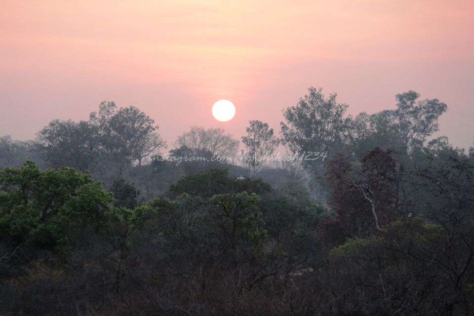 Photo of Bandipur National Park, Bandipur, Karnataka, India by Hrishikesh Baruah